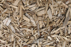 biomass boilers Pengelly